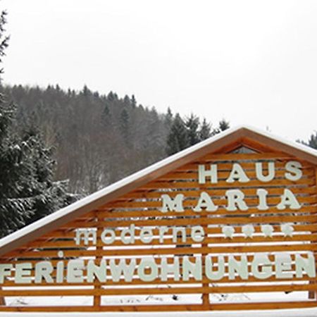 Apartamento Haus Maria Todtnau Exterior foto