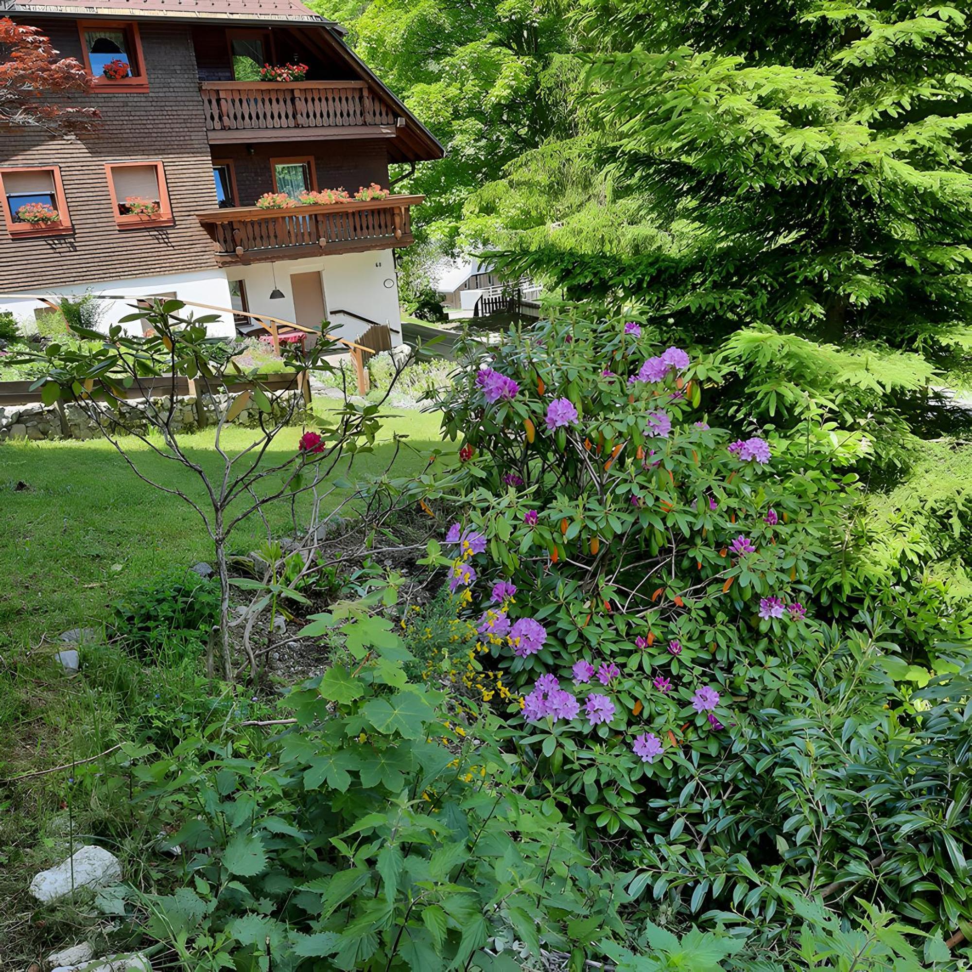 Apartamento Haus Maria Todtnau Exterior foto